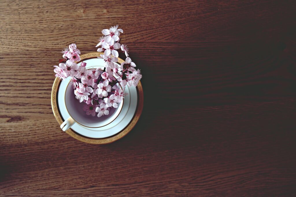 primavera