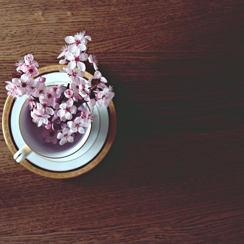 primavera