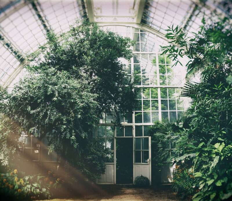 urban garden