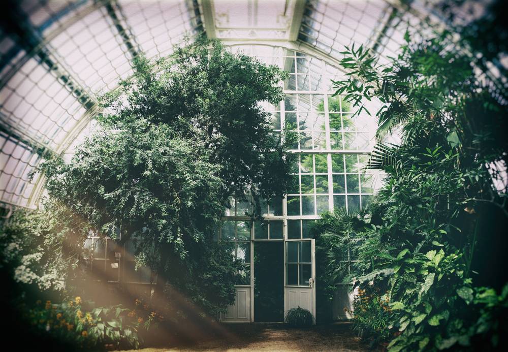urban garden